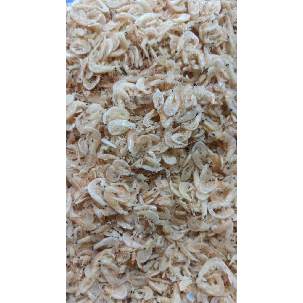 

Udang Rebon - Kecepe - Kecepe Medan - Udang Rebon Medan - Kecepe Asli Medan