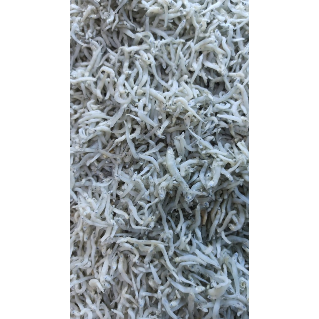 

Ikan Teri Sedang 1KG - Ikan Teri Medan - Ikan Teri - Teri Medan