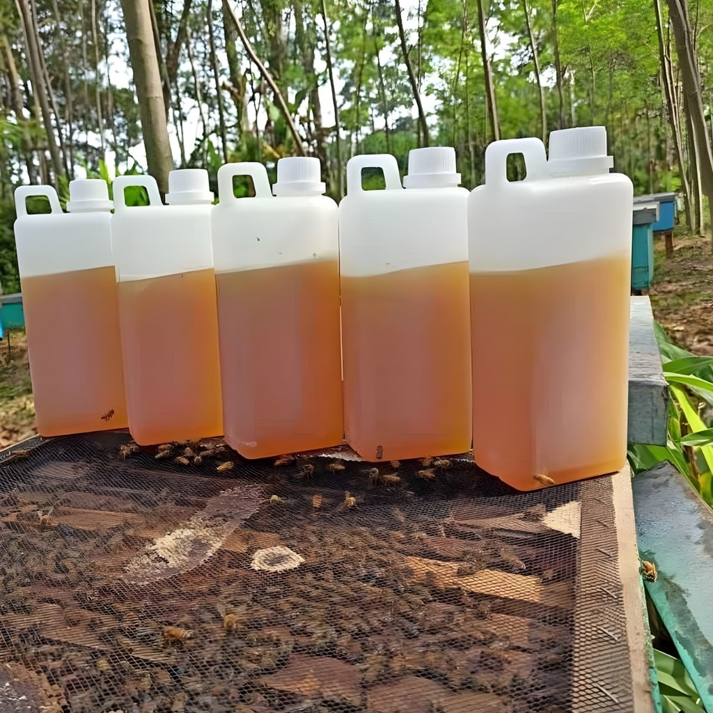 

Madu Murni Asli 1 Kg – Raw Honey Tanpa Campuran, Langsung dari Petani Lebah Jawa Tengah