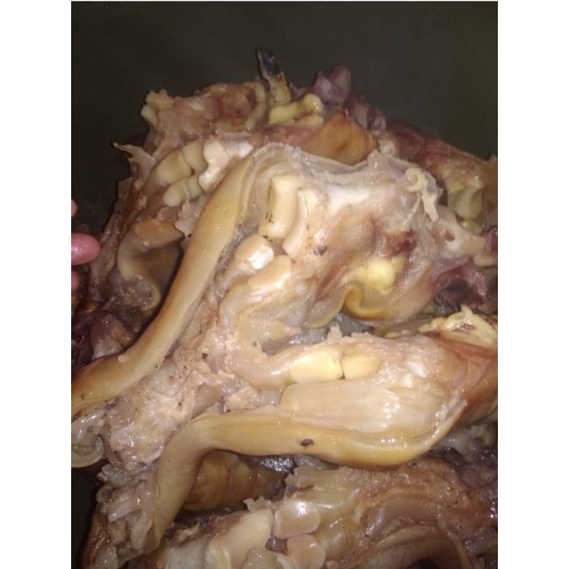 

kaki sapi lokal sudah difillet fresh ( tunjang )