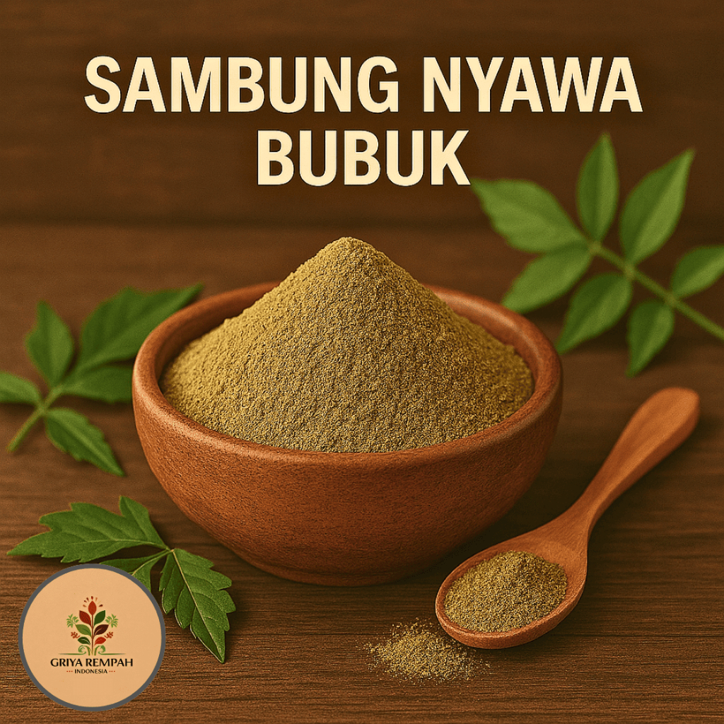 

DAUN SAMBUNG NYAWA BUBUK 500 GRAM Sambung Nyowo Herbal Simplisia Alami Tradisional untuk Kesehatan Ramuan Jamu Kering Sambungnyawa Gynura procumbens