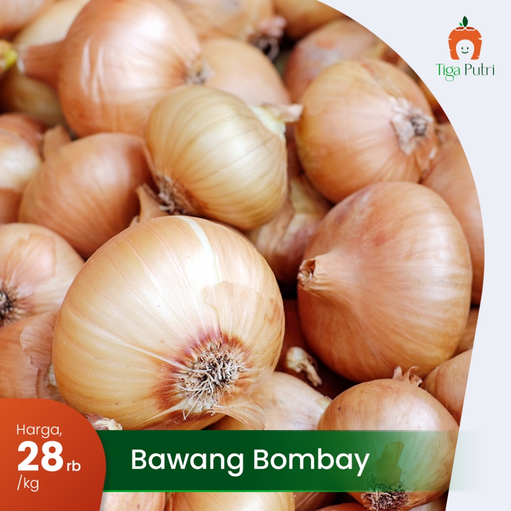 

BAWANG BOMBAY SEGAR, UKURAN BESAR, HARGA BERSAHABAT!