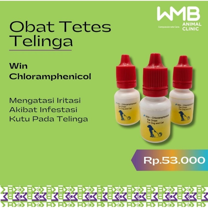 Win Chloramphenicol (Obat Tetes Telinga)