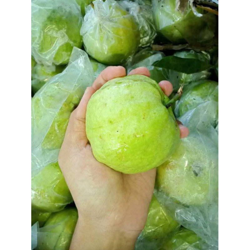 

ada buah jambu kristal 1 buah