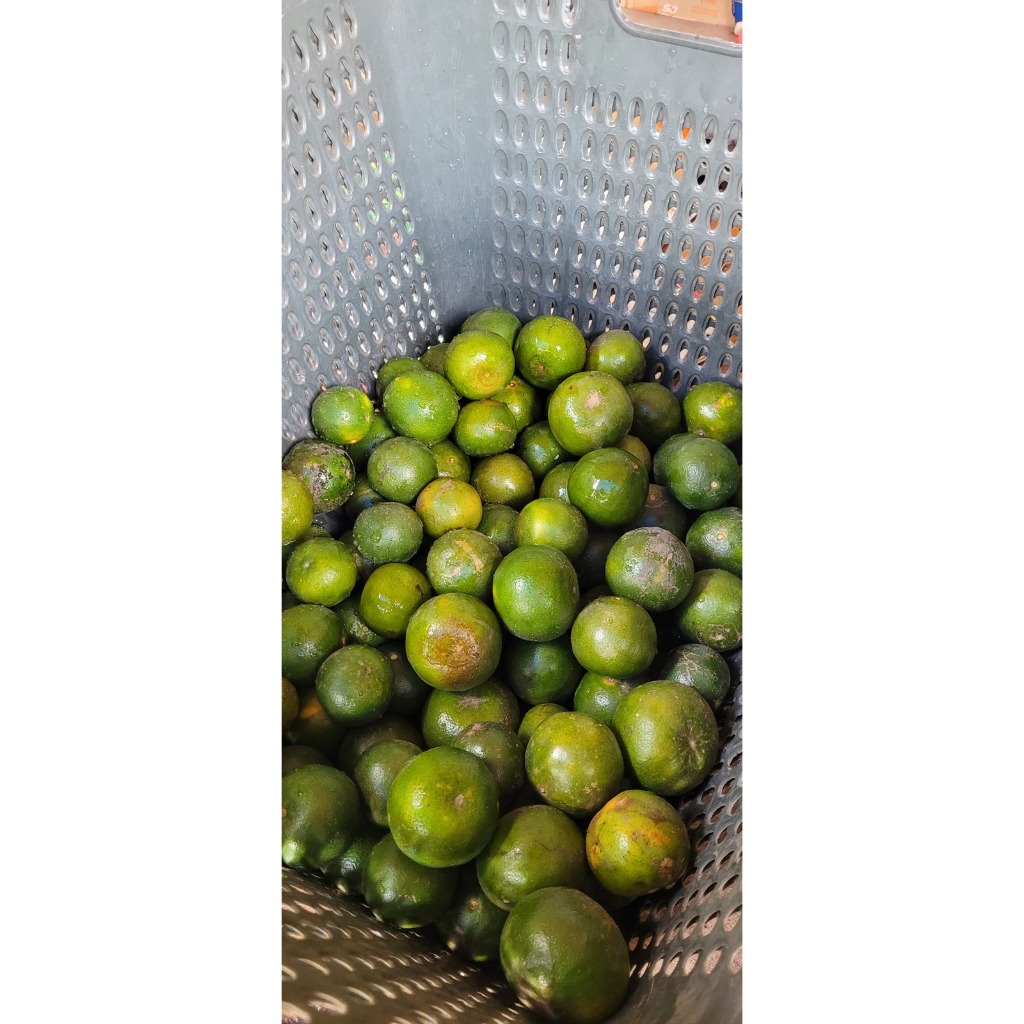 

Jeruk Peras 1000gram / Jeruk Asam | Manis Fresh Buah Jeruk Lokal