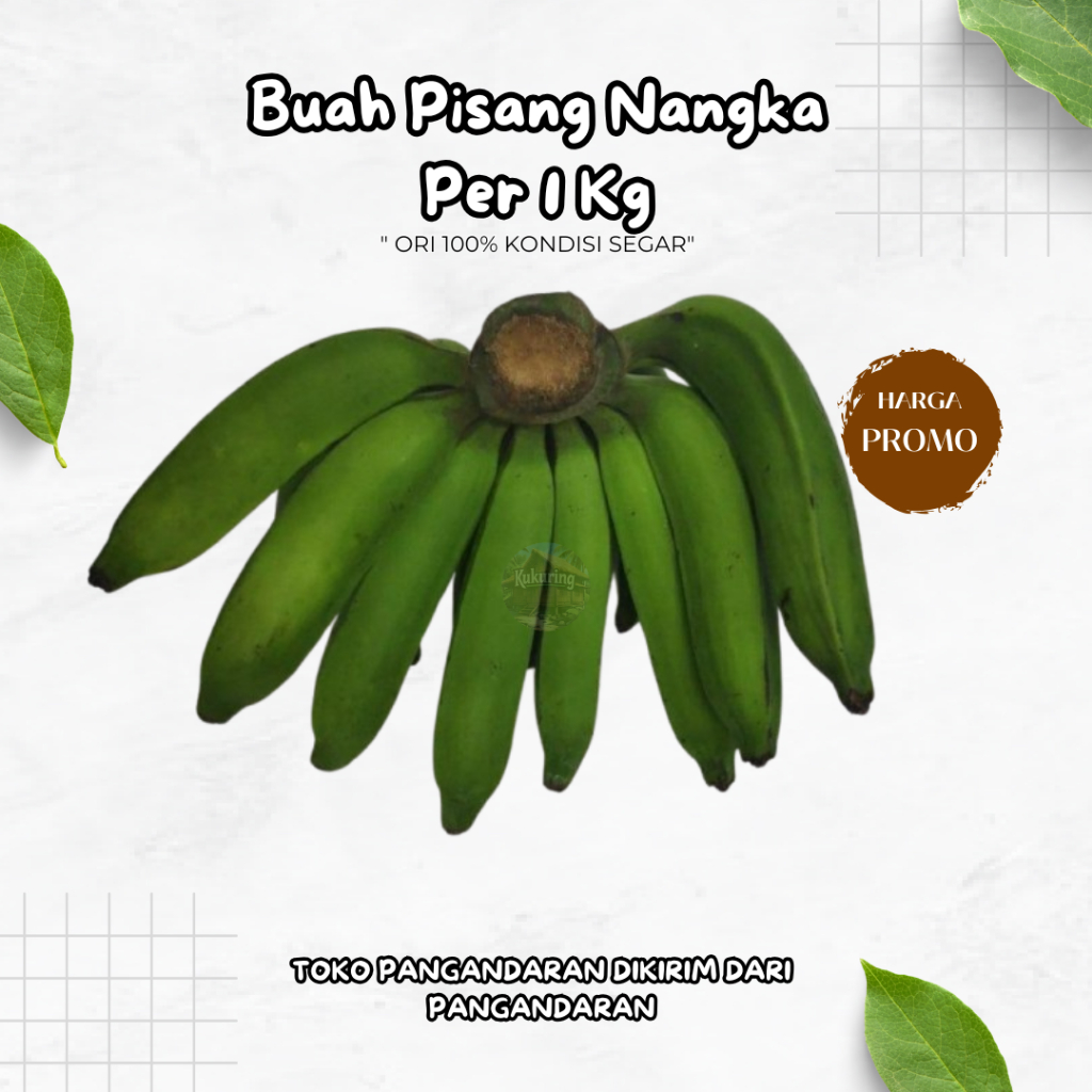 

Buah Pisang Nangka Per 1 Kg Cocok Untuk Di buat Pisang Goreng Bahan Kue Kolak dan Olahan Lainya Aroma Wangi