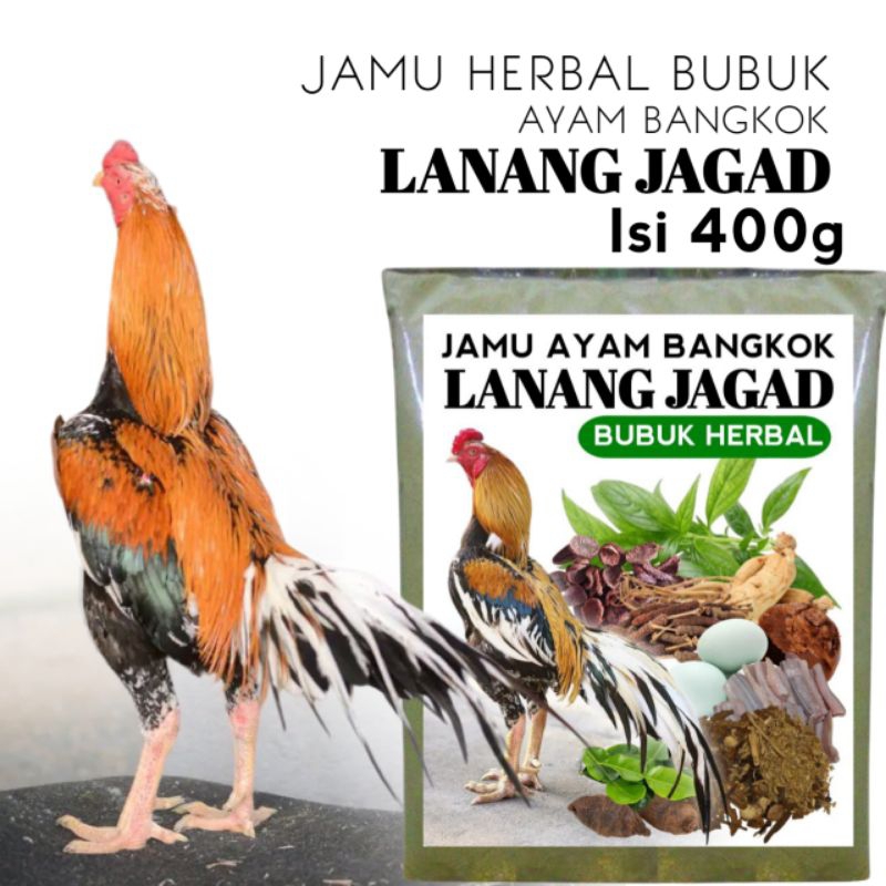 jamu anak ayam bangkok