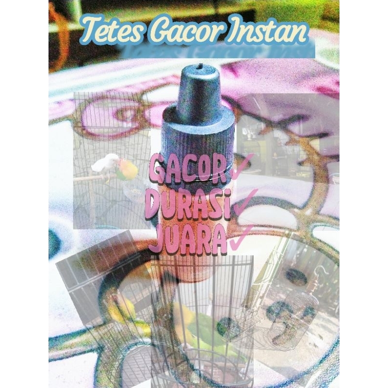 TesPower-Vitamin Lovebird Tetes Doll Bunyi