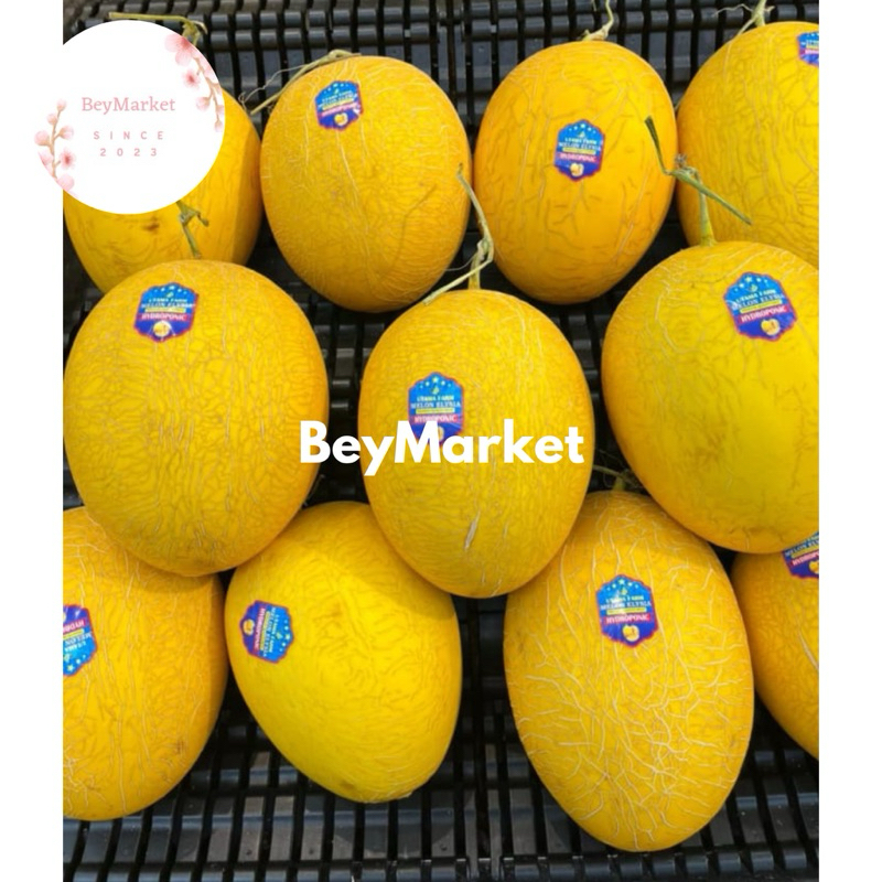 

Melon Elysia Hydroponic -+1.4kg | Buah Melon Elysia Manis | Pcs