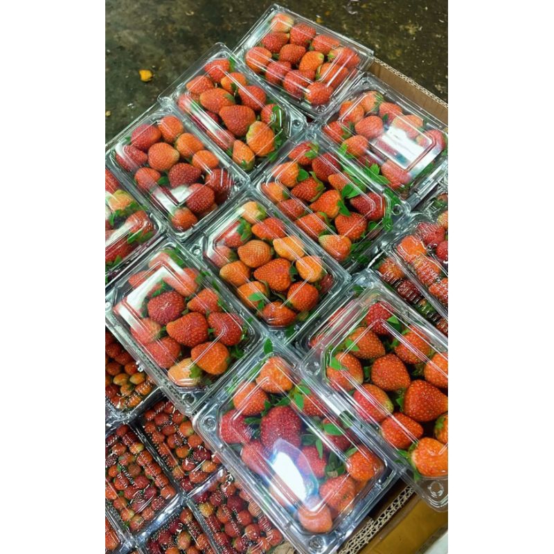 

buah strawberry jumbo pengiriman sameday dan instan