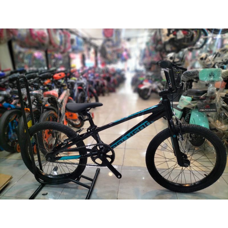 Sepeda Anak Bmx Polygon Rogue 20 Inch Sepeda Anak Laki-laki