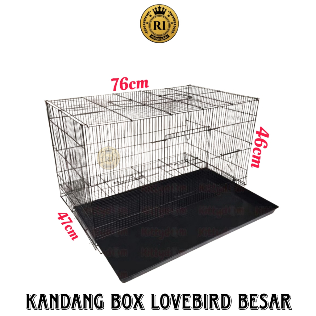 Kandang Box Lovebird Jumbo