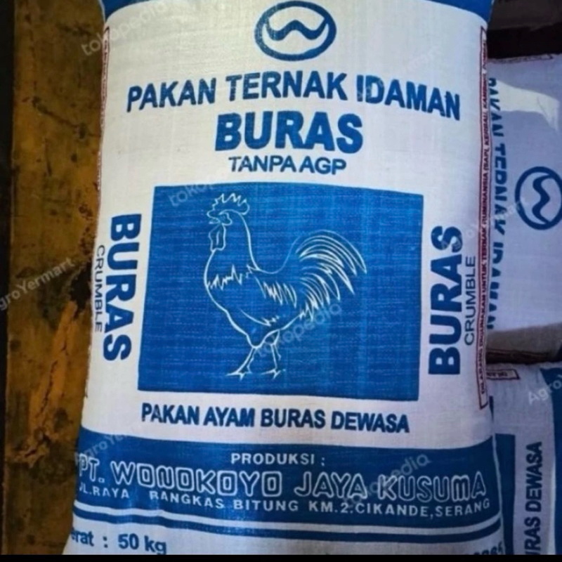 pakan ayam buras dewasa - Pakan ayam buras 3kg