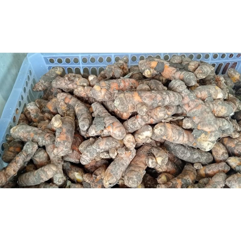 

kunyit/koneng super frees 250gr 500gr 1kg