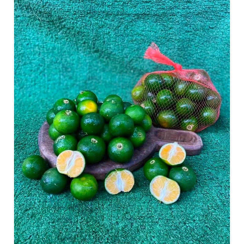 

Tanaman Jeruk Citayam Madu Berbuah