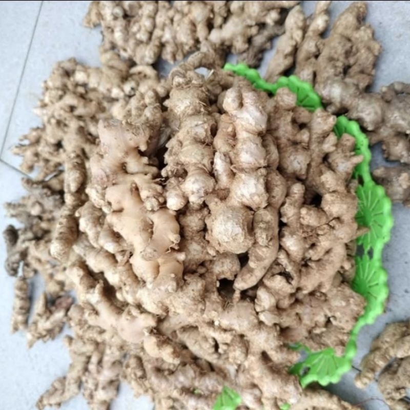 

Jahe emprit pedas tidak di cuci 1kg