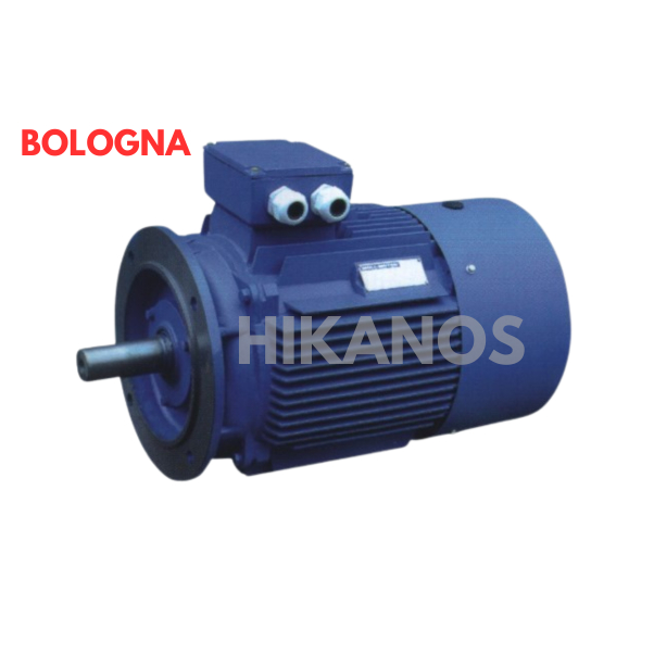Elektro Motor DInamo Bologna 1HP 0.75kw 1400RPM 3 Phase 1400RPM Flange mounting B5 1 HP Dinamo Pengg