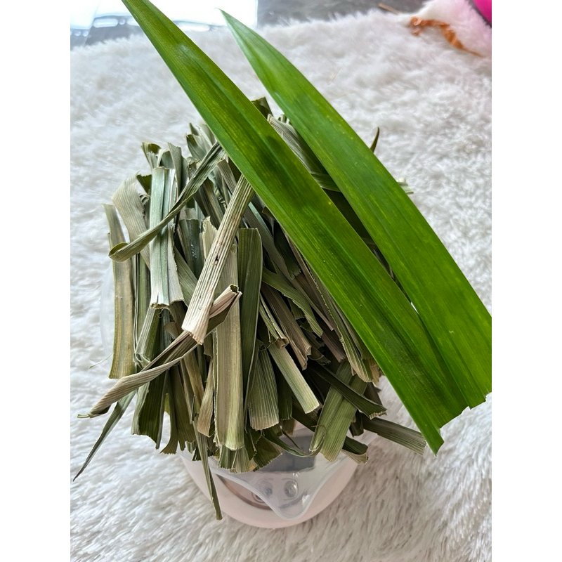 

Daun Pandan Kering 100 gram