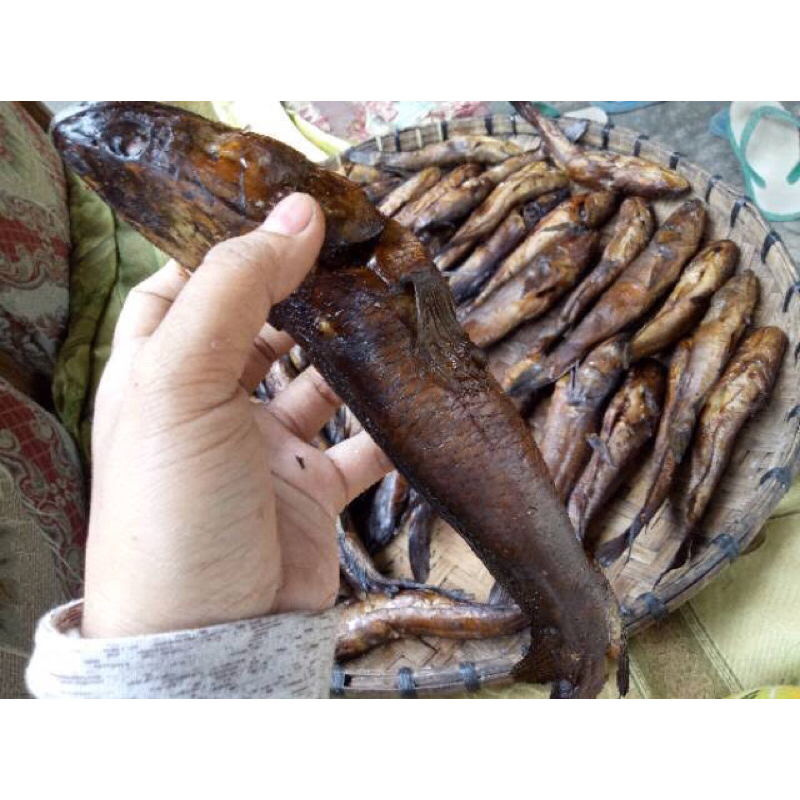 

ikan gabus asap