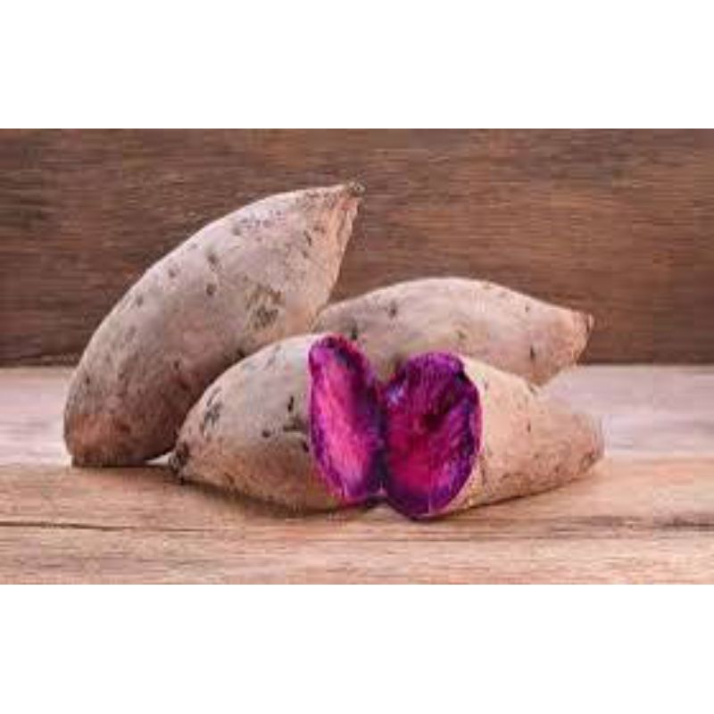 

ubi ungu/ubi jalar cocok buat rebusan temen ngopi dan bahan kue lain nya