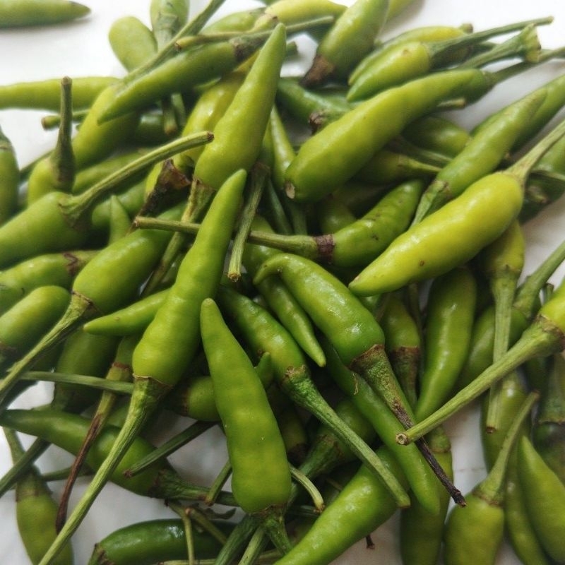 

CABE RAWIT HIJAU 1KG