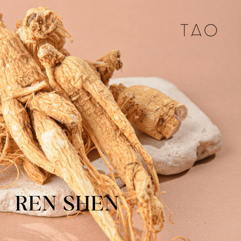 

REN SHEN (GINSENG) | Chinese Herbs (Herbal Cina) - 1gr