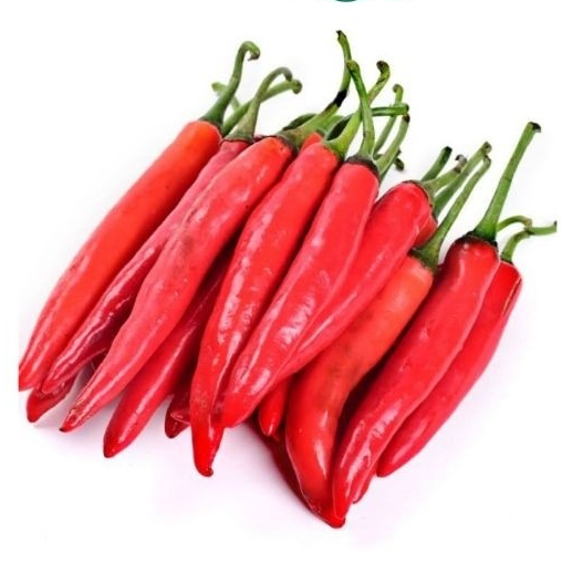 

CABE MERAH BESAR 100GR CABAI BRKAH