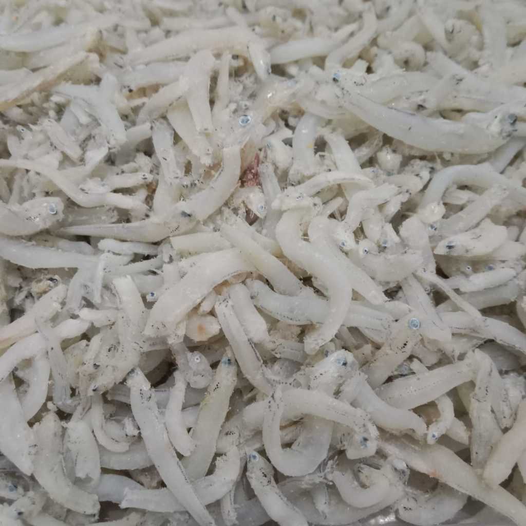 

Aneka Ikan Teri Asin toge buntio Super Premium Vip 100gram
