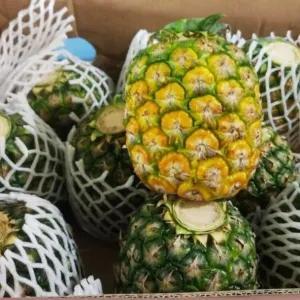 

nanas madu ukuran sedang