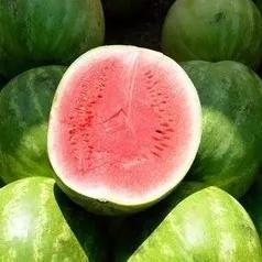 Buah semangka merah fresh 1 pcs(-+4 kg)