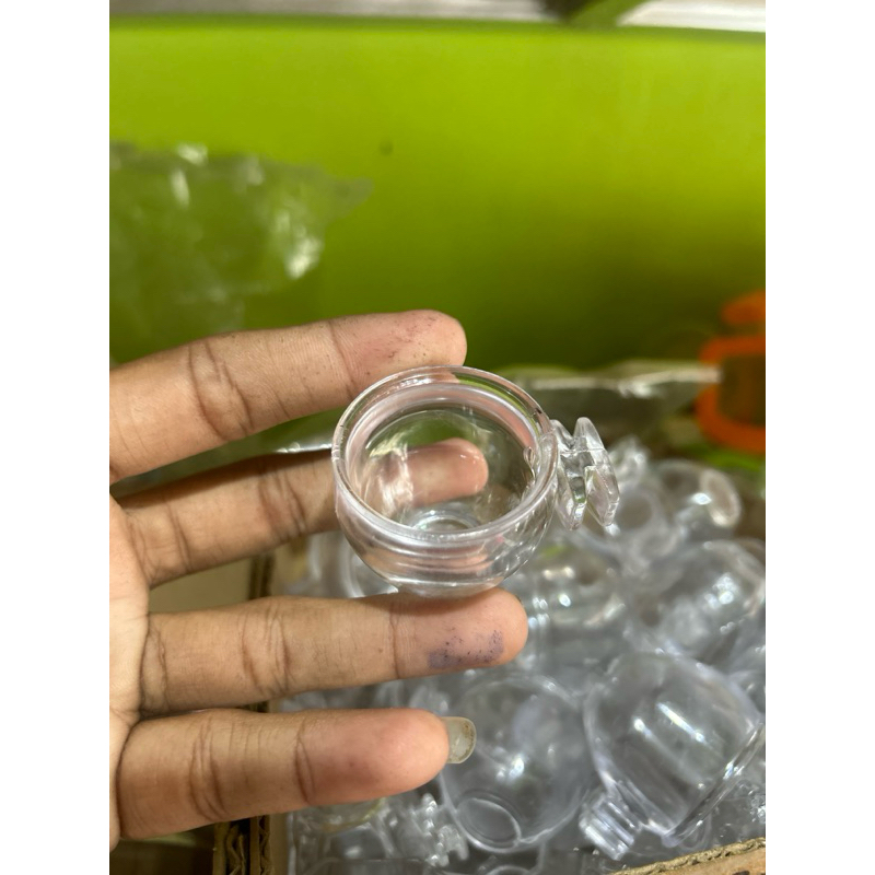 cepuk pakan burung cepuk minum burung