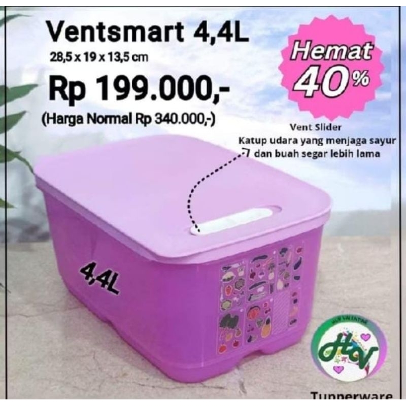 Promo Tupperware Ventsmart tempat sayuran dan buah dikulkas ukuran besar ungu