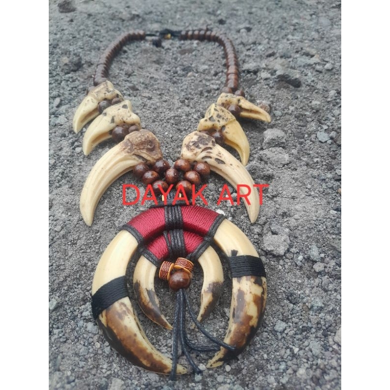 KALUNG TARING BABI/KUKU MACAN HARIMAU