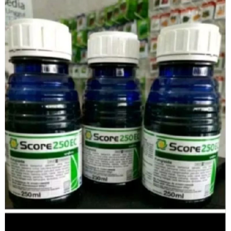 Score 250ml