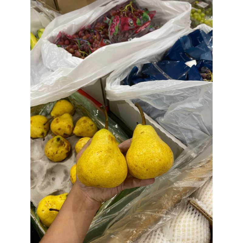 

PEAR HIJAU PACKAM