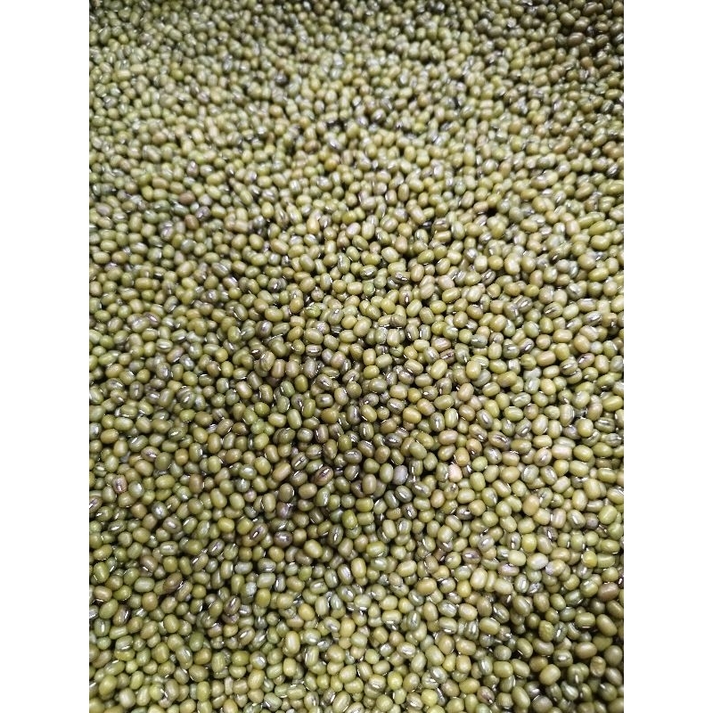

Kacang Hijau Super 500gram
