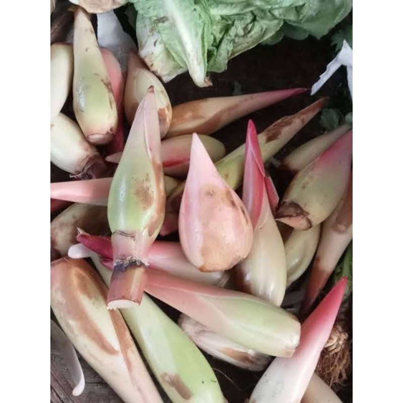 

kembang kcombrang 500gram