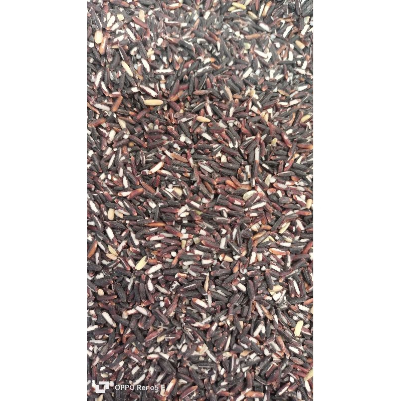 

1 Kg Beras Merah Wangi Organik Istimewa