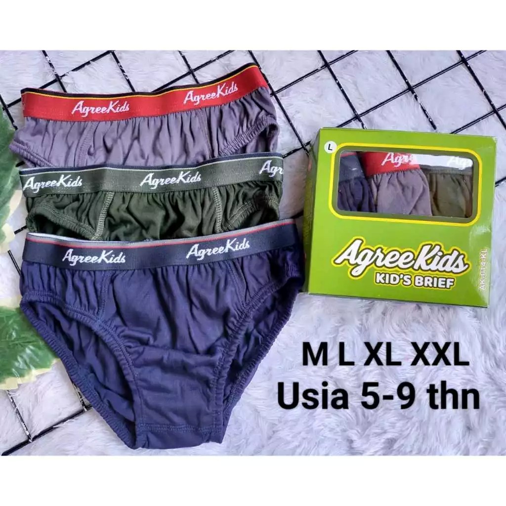 CELANA DALAM ANAK LAKI-LAKI | CD AGREE KIDS AK.014.KL