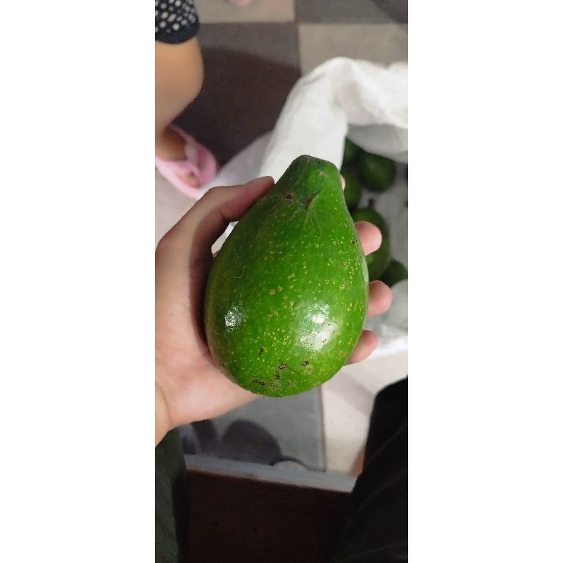 

POKAT MENTEGA
