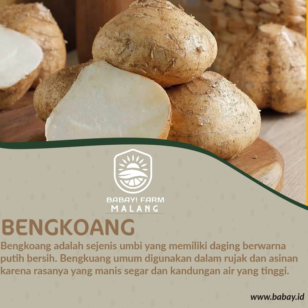 

Buah bengkoang 500 gr / bengkuang 1 kg