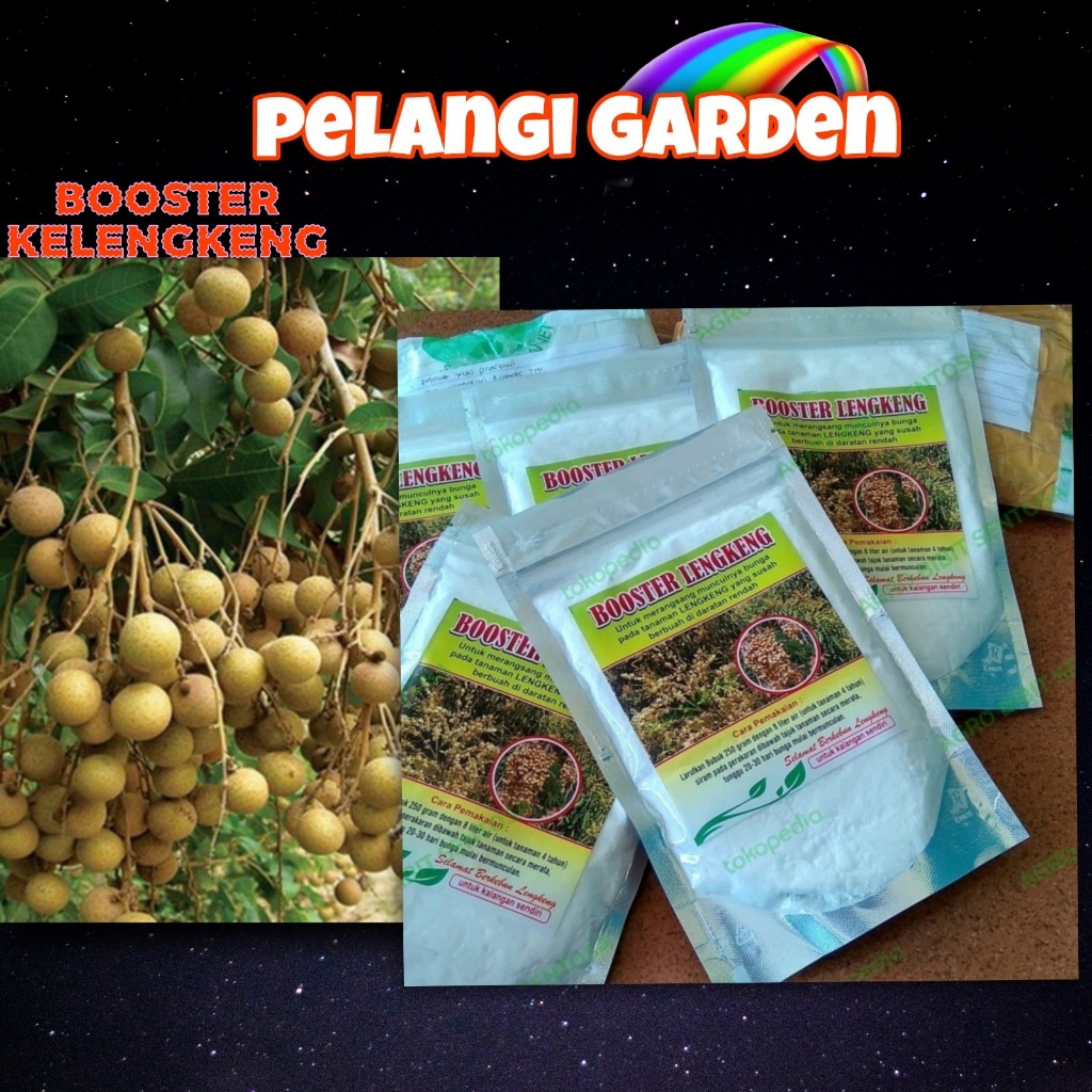 PALING DICARI  Boster Kelengkeng Cangkokan, Boster Kelengkeng Cristal