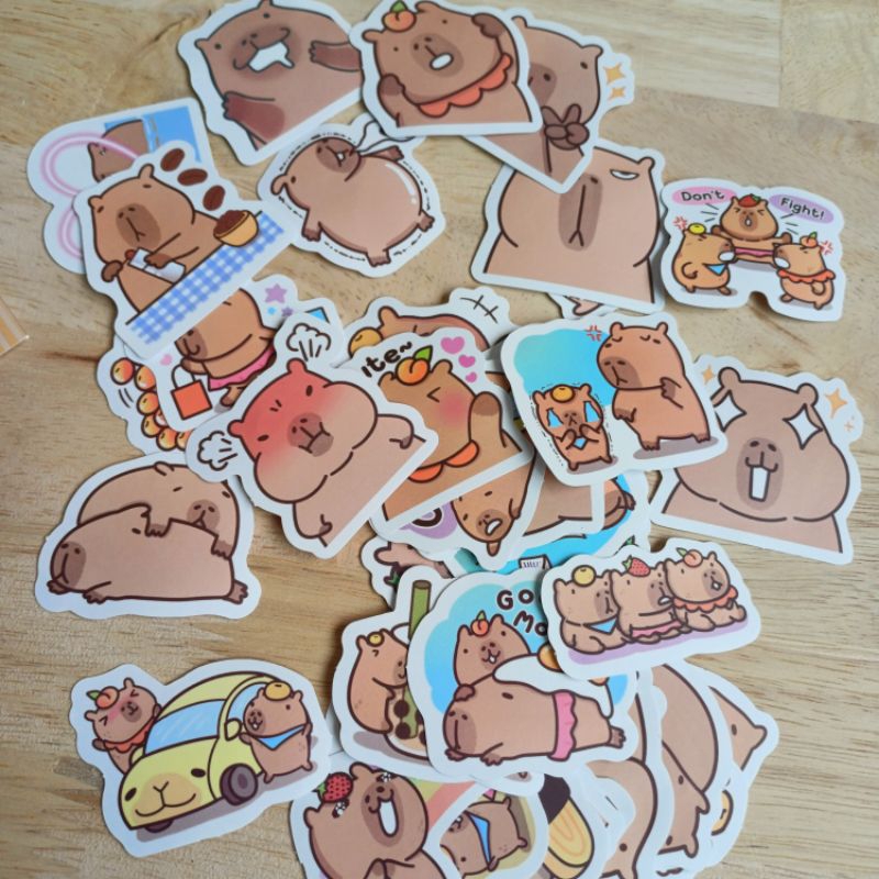 

Sticker CAPYBARA XY66 isi 50 lembar
