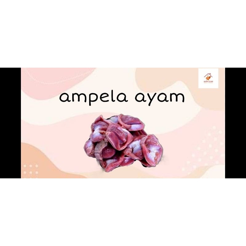 

AMPELA AYAM BERSIH 1KG
