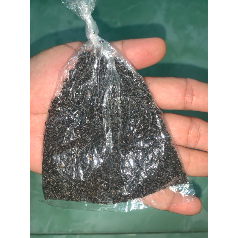 

selasih rempah rempah masakan