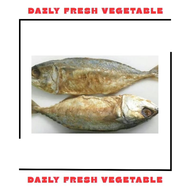 

Ikan Asin Peda Fresh 2 Pcs