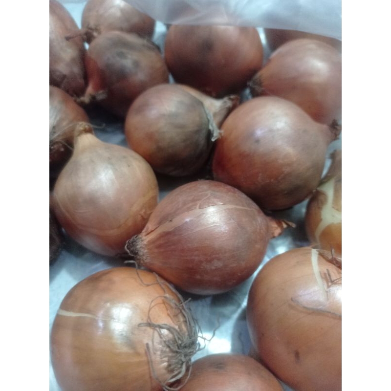 

Bawang bombay