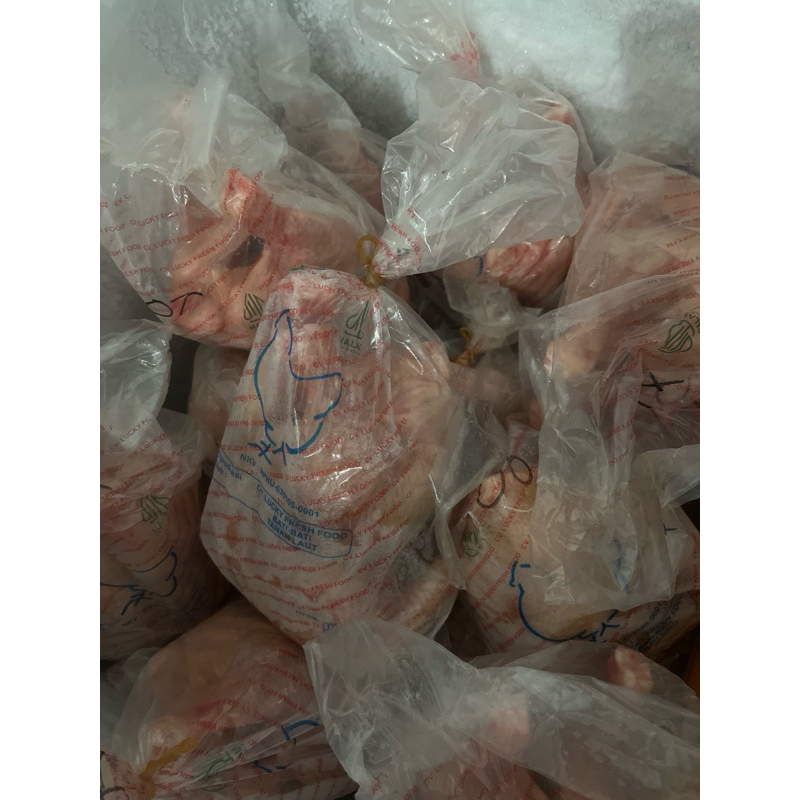 

ayam utuh berat 0,6 EL Beryl Frozen Banjarmasin