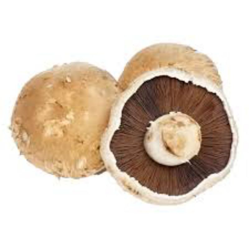 

jamur portable 100gr