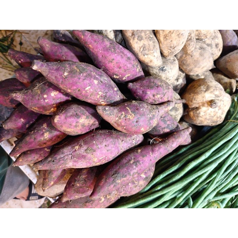 

ubi merah 1kg